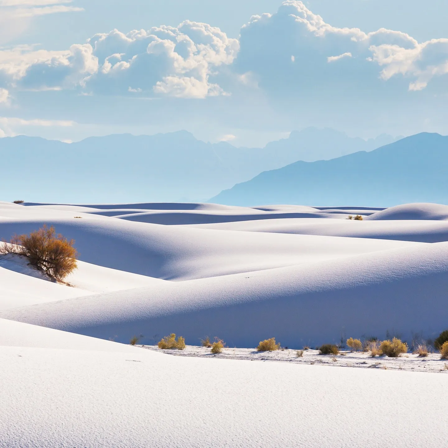 成年後見制度の基本的な認識